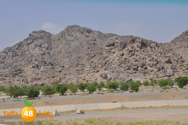 3omranewyaffa326 (48).JPG